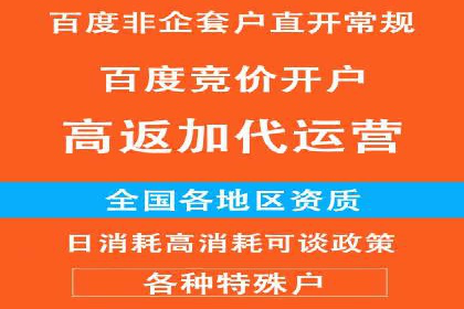 搜索开户返点揭秘：成功案例分享